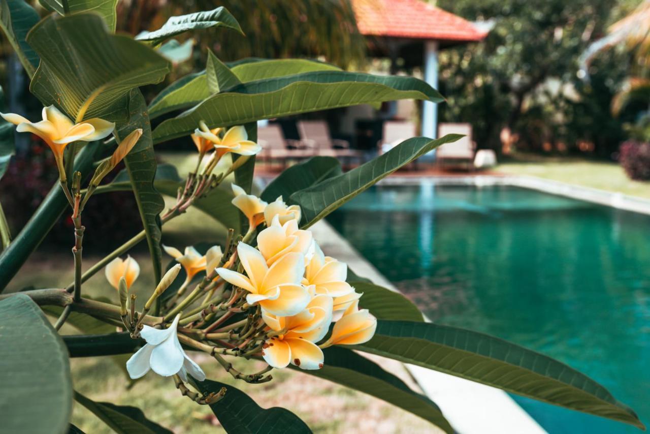 Bali Mynah Villas Resort จิมบาราน ภายนอก รูปภาพ